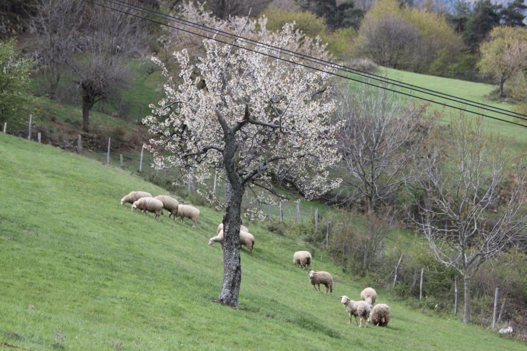La Bastide De Fontaille Bed & Breakfast Saint-Felicien Exterior photo