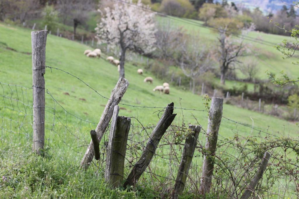 La Bastide De Fontaille Bed & Breakfast Saint-Felicien Exterior photo